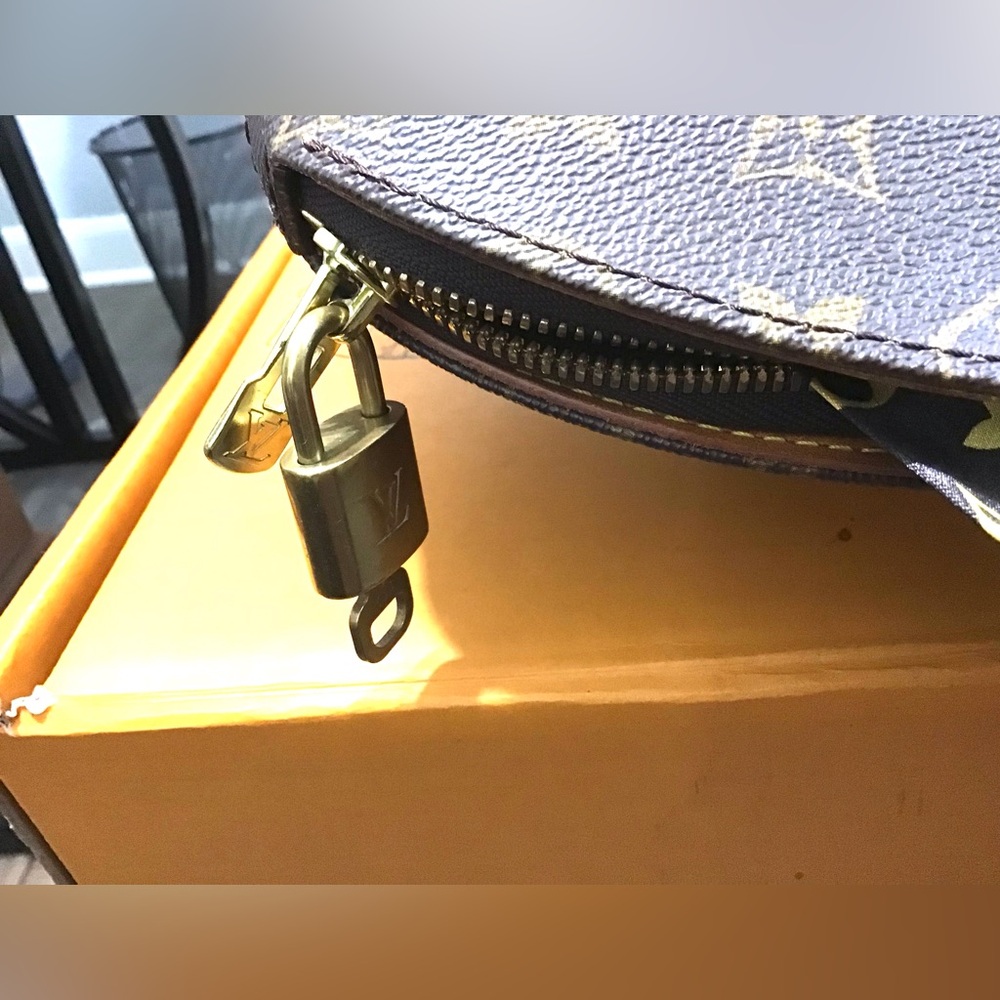 Louis Vuitton Bags - Picture 9 of 16